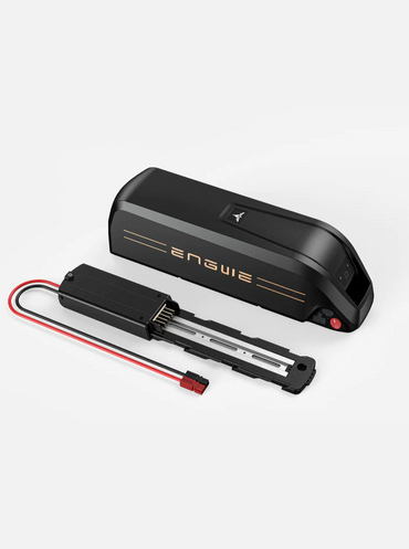 Batteria ENGWE 48V 13Ah per Engwe M20