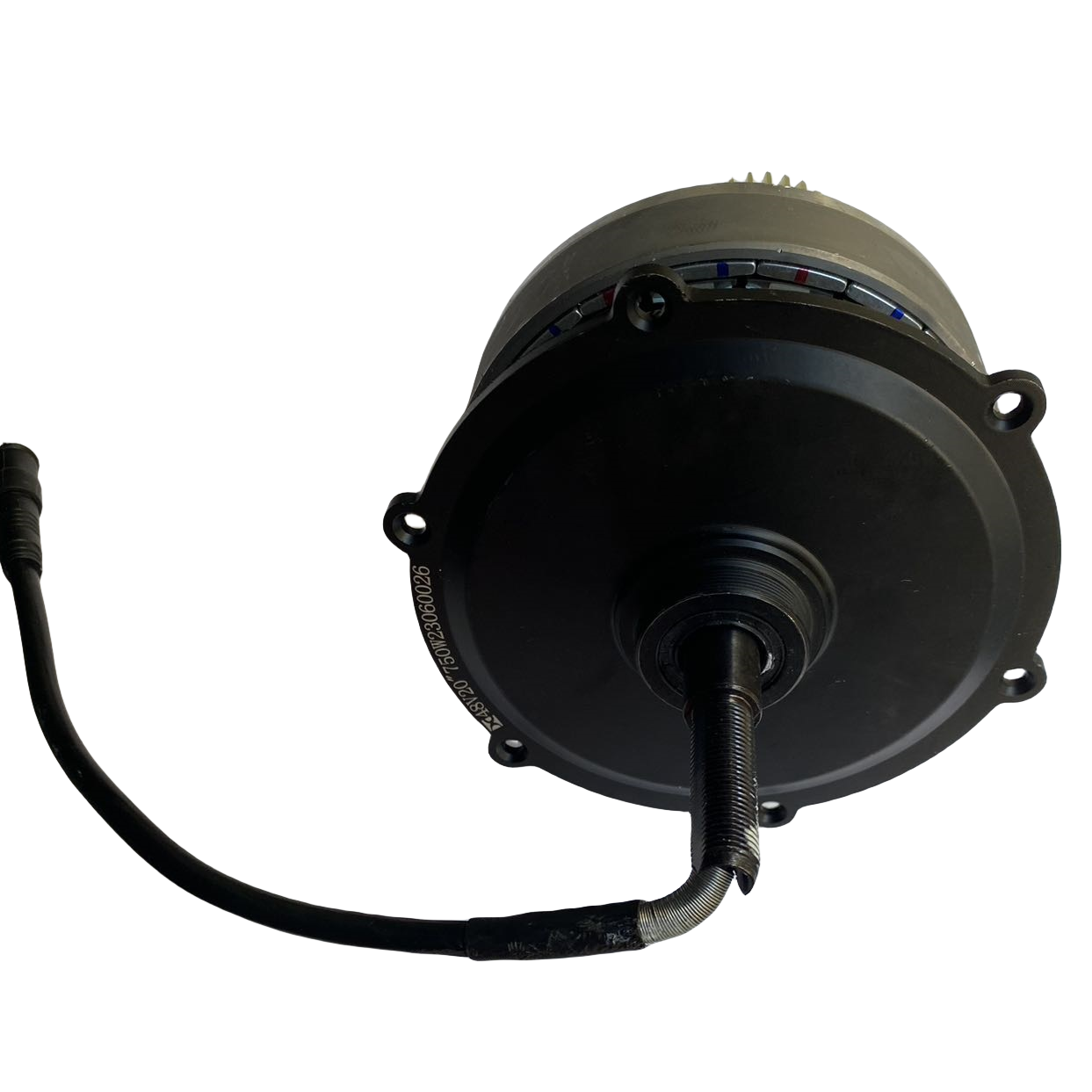 Motore Originale ENGWE Ep-2 Pro 750W (Versione motore XD)