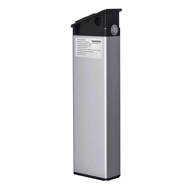 Batteria ENGWE Originale 48V 13Ah per Ep-2 Pro (13Ah Version)