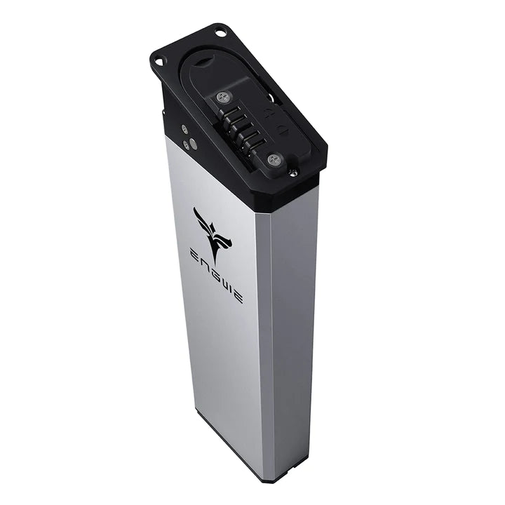 Batteria ENGWE Originale 48V 13Ah per Ep-2 Pro (13Ah Version)