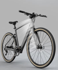 FIIDO E-Gravel C21 | Bicicletta elettrica | Sensore di Coppia | Motore 250W | Autonomia 80km | GARANZIA ITALIANA