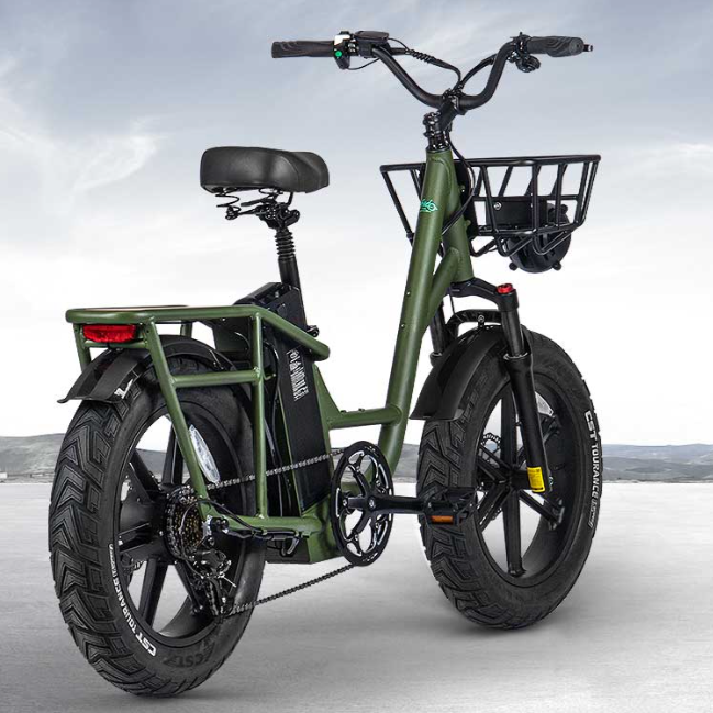 FIIDO T1 Cargo | Versione 2023 | Bicicletta elettrica | Ruote Fat | Motore 750W | 48V 20AH | Autonomia 150km | Freni idraulici | GARANZIA ITALIANA
