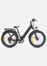 ENGWE E26 ST | Bicicletta Elettrica | Versatile | Motore 250W | 48V 16Ah | 25km/h | Autonomia 140Km| GARANZIA ITALIANA