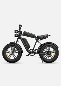 ENGWE M20 | Bicicletta Elettrica | Versatile | Motore 750W | 48V 13Ah/26Ah | Autonomia 75Km+75Km| GARANZIA ITALIANA