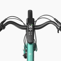FIIDO E-Gravel C22 | Bicicletta elettrica | Sensore di Coppia | Motore 250W | Autonomia 80km | GARANZIA ITALIANA